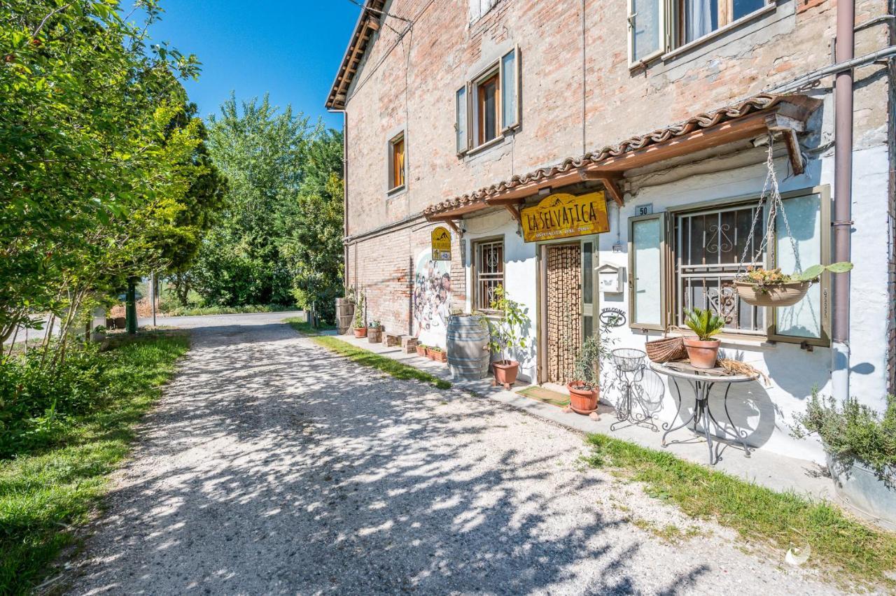 Selvatica50 B&B Nonantola Eksteriør bilde